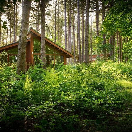 Blackwood Forest Cabins - Forest Holidays Popham Dış mekan fotoğraf