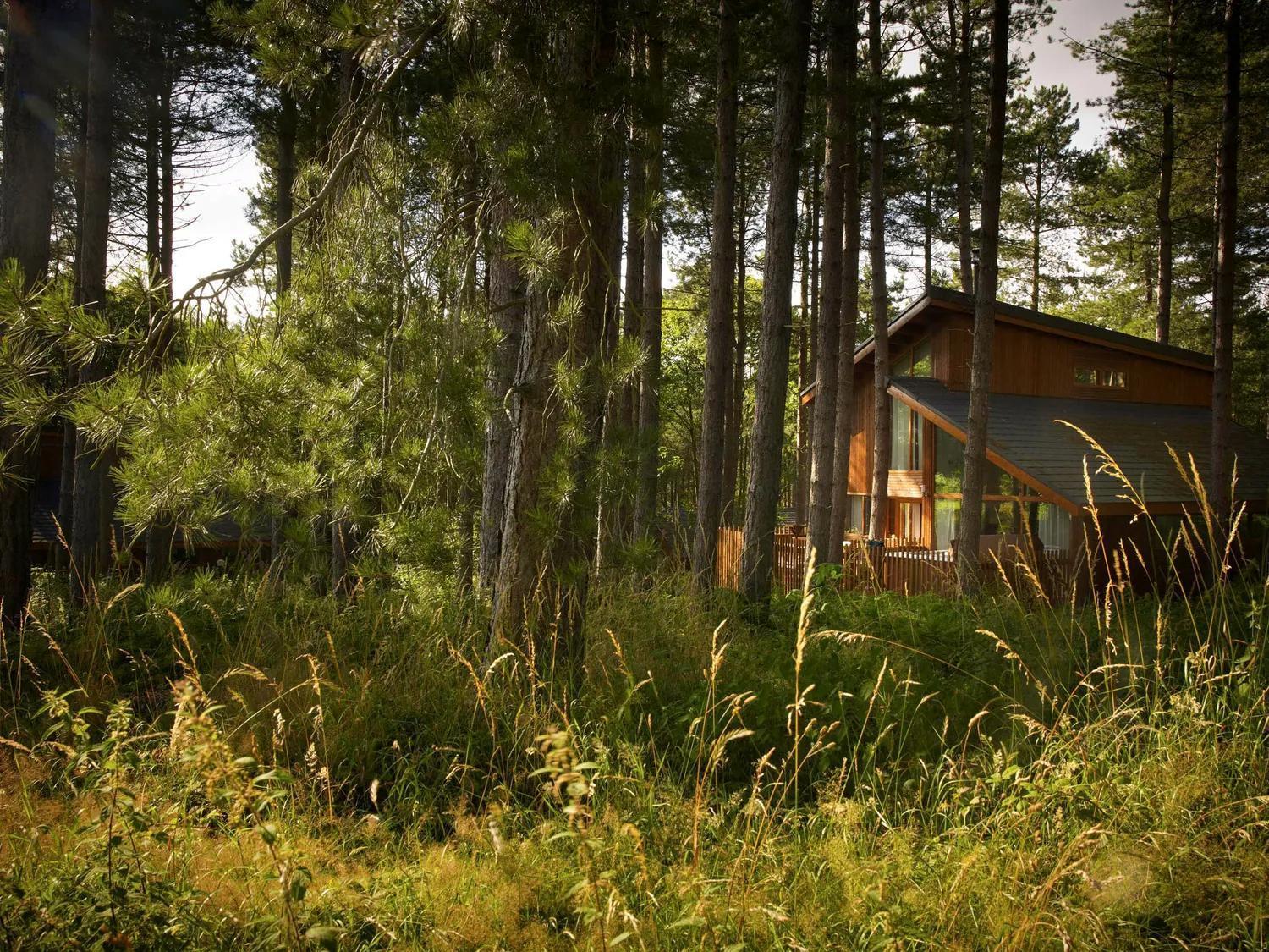 Blackwood Forest Cabins - Forest Holidays Popham Dış mekan fotoğraf