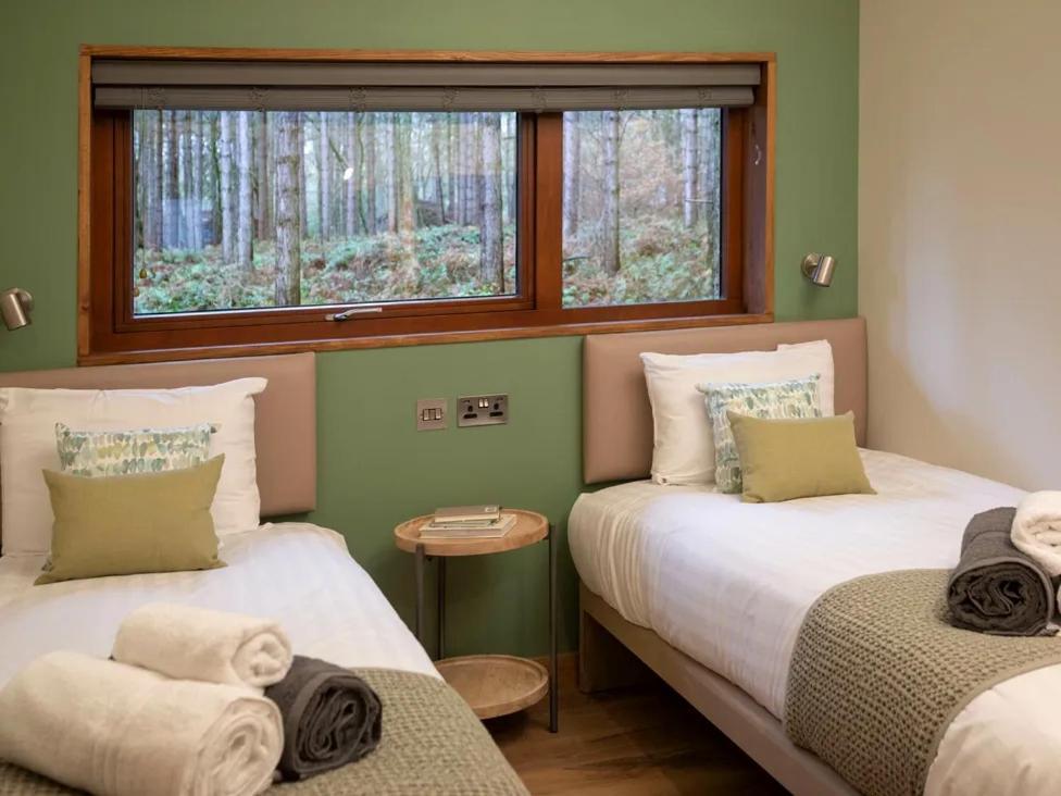 Blackwood Forest Cabins - Forest Holidays Popham Dış mekan fotoğraf
