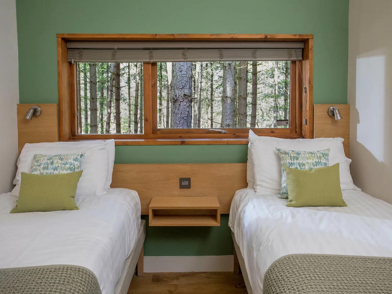 Blackwood Forest Cabins - Forest Holidays Popham Dış mekan fotoğraf