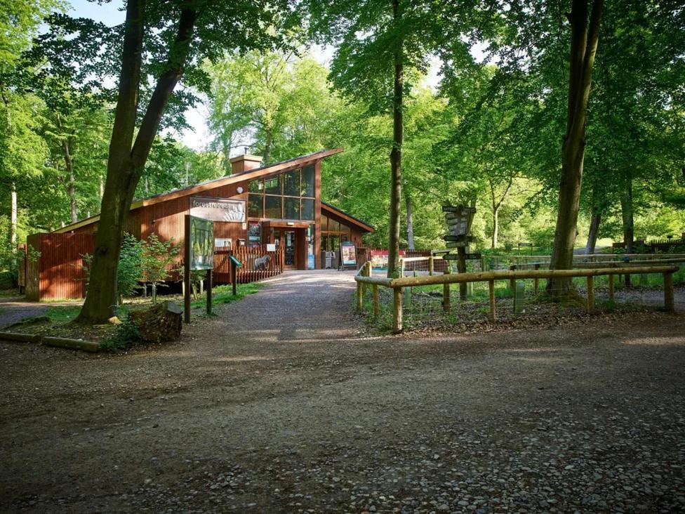 Blackwood Forest Cabins - Forest Holidays Popham Dış mekan fotoğraf