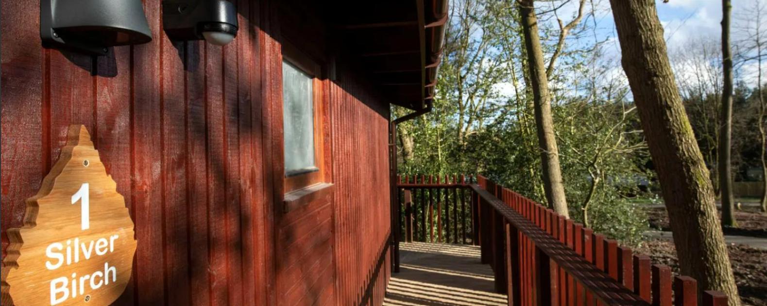 Blackwood Forest Cabins - Forest Holidays Popham Dış mekan fotoğraf